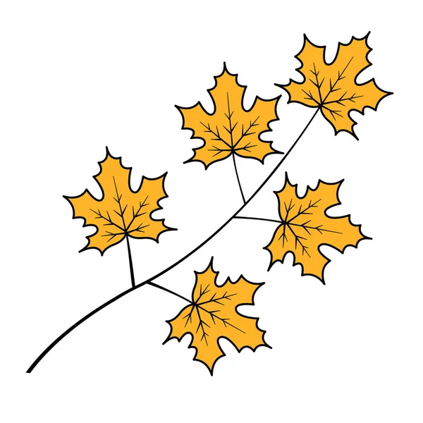 Dessin Une Branche Avec Des Feuilles Érable Couleur Jaune Saison — Image vectorielle