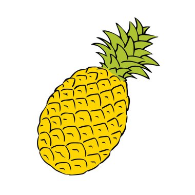 Ananas çizimi. Vitaminli egzotik lezzetli narenciye ananaslı meyve. Vektör serbest çizim. Beyaz arkaplandaki izole nesne