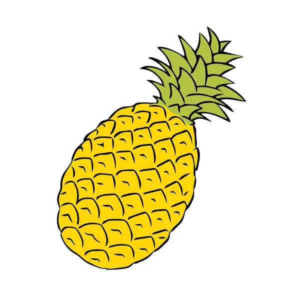 Ilustrasi Sketsa Ananas Exotic Lezat Jeruk Buah Nanas Dengan Vitamin - Stok Vektor
