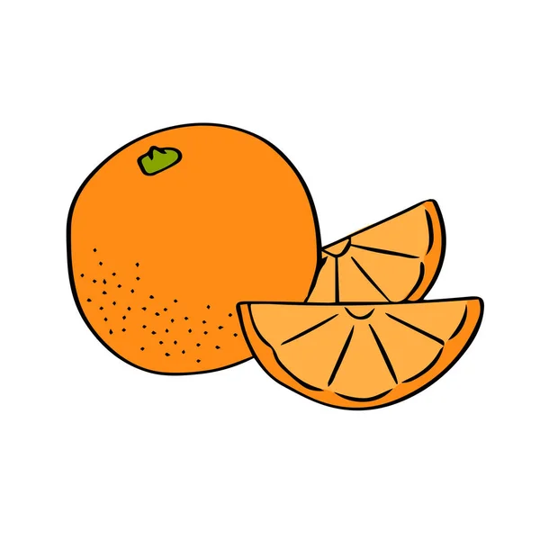 Ilustración Boceto Naranja Deliciosos Cítricos Exóticos Con Vitaminas Dibujo Mano — Archivo Imágenes Vectoriales