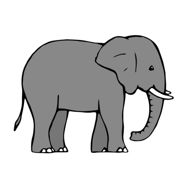 Disegno Elefante Sfondo Bianco Disegnato Schizzo Scarabocchio Con Inchiostro Mammiferi — Vettoriale Stock