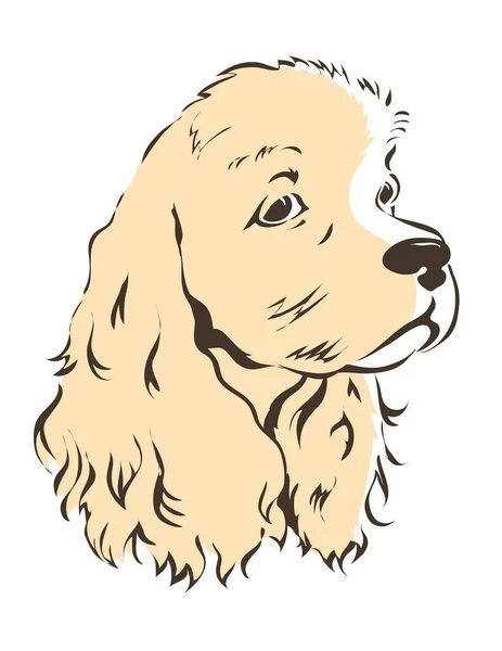 Amerikansk Cocker Spaniel Hundhuvudporträtt Djuret Ett Husdjur Isolerad Illustration Skiss — Stockfoto