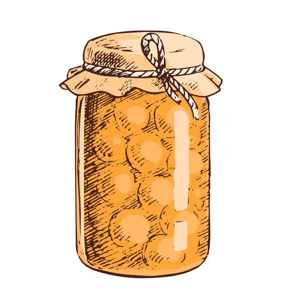 Βάζο Γυάλινο Μαρμελάδα Βερίκοκο Κομπόστα Γλυκό Επιδόρπιο Σπιτική Μαγειρική Vector — Διανυσματικό Αρχείο