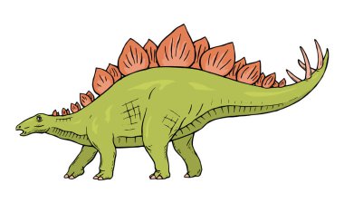 Stegosaurus otçul dinozoru beyaz arka planda. Arkasında plakalar, kuyruğunda keskin dikenler var. Jurasik tarih öncesi hayvan. Vektör izole çizgi film çizim eli