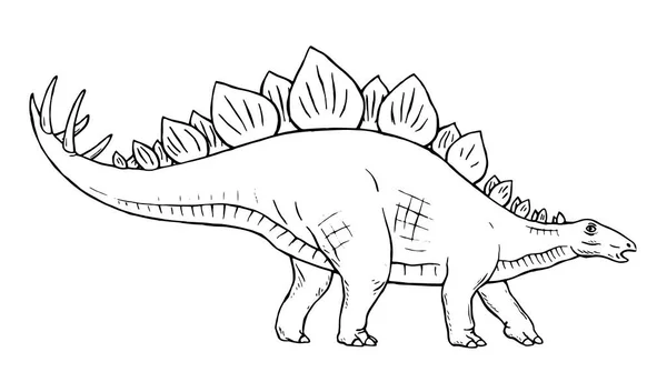 Stegosaurus Herbivorous Dinosaur White Background Plates Back Sharp Thorns Tail —  Vetores de Stock