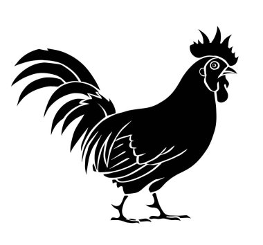 Black silhouette of a rooster on a white background. Poultry for farming. Vector isolated art illustration