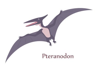 Antik uçan kertenkele pteranodonu. Jurasik dönemin yırtıcı dinozoru. Büyük kanatlar. Vektör izole illüstrasyonu