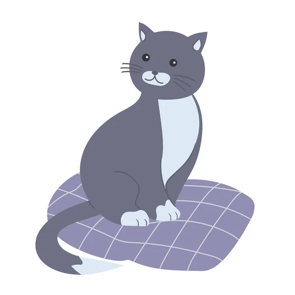 Dibujos Animados Lindo Gato Gris Una Almohada Mascota Ilustración Aislada — Vector de stock