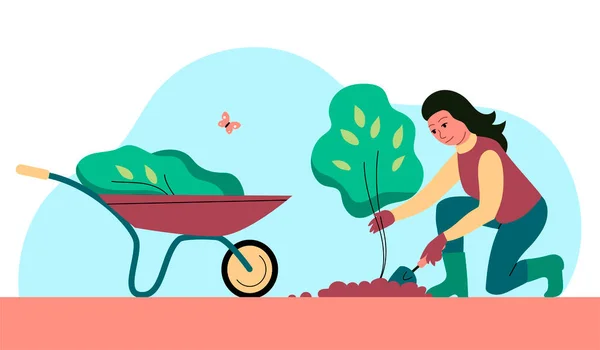 Woman Planting Young Tree Sapling Digs Soil Shovel Garden Wheelbarrow — Stock Vector