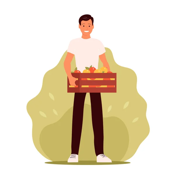 Ein Junger Mann Steht Mit Einer Schachtel Frischer Äpfel Saisonale — Stockvektor