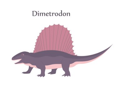 Jurasik dönemin Dimetrodon dinozor avcısı. Arkasında yüzgeç plakası var. Vektör karikatür çizimi beyaz arkaplanda izole edildi