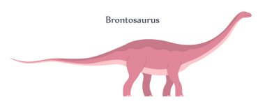 Uzun boyunlu ve kuyruklu büyük bir dinozor. Jurasik dönemin otçul dinozor apatosaurus 'u. Vektör karikatür çizimi beyaz arkaplanda izole edildi
