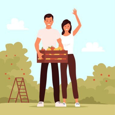 Genç bir adam ve kadın bir kutu taze elmayla ayakta duruyor. Elma bahçesinde çalış. Mevsimlik hasat. Olgun sağlıklı meyveler. Düz vektör illüstrasyonu