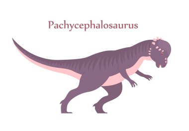 Antik pangolin pachycephalosaurus. Kafa. Jurasik dönemin otçul dinozoru. Vektör karikatür çizimi beyaz arkaplanda izole edildi