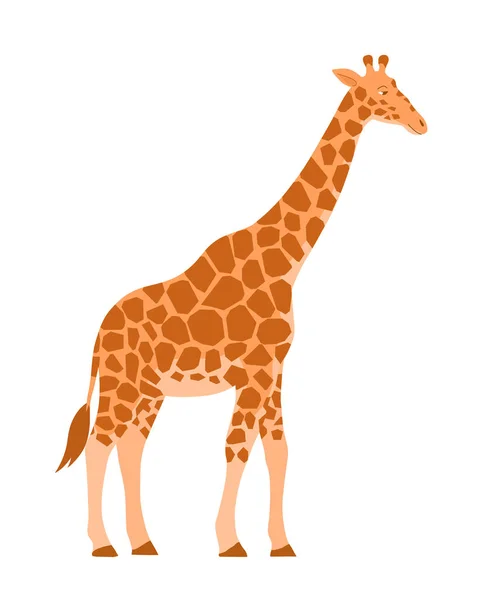 Cartoon Giraffe White Background African Herbivore Mammal Zoo Safari Vector — Wektor stockowy
