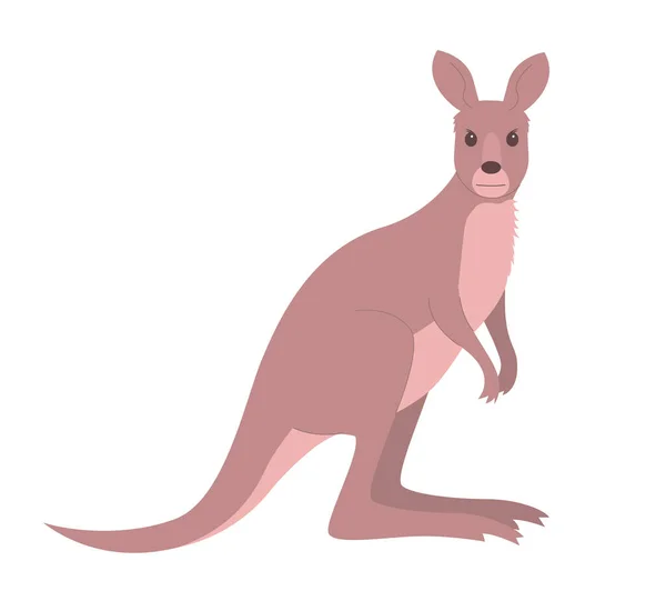 Wild Mammal Kangaroo White Background Marsupial Animal Australia Vector Cartoon — Vector de stock