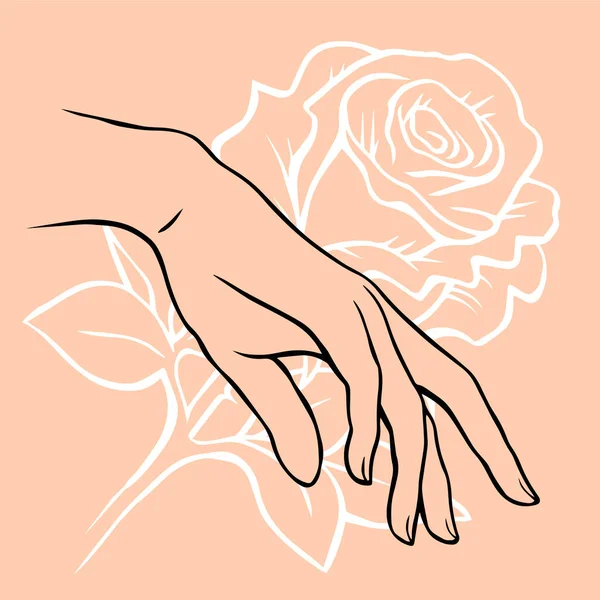 Čára Kresby Ženské Ruky Vzor Růže Pozadí Vůně Parfém Péče — Stockový vektor