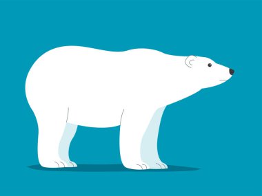 Big polar white bear. Wild mammal of the Arctic. Strong animal predator. White wool. fauna and zoo. Cartoon vector illustration