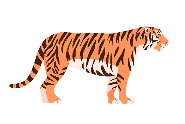 Bengal Amur Tiger Big Wild Cat Strong Animal Predator Striped — Stock Vector