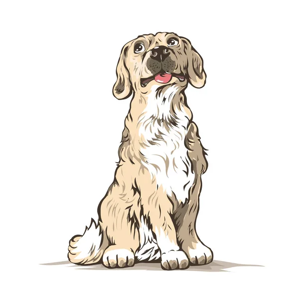 可愛い国内犬 座り姿勢 フレンドリーなペット 動物一匹 白を基調としたベクトルイラスト 手描き — ストックベクタ