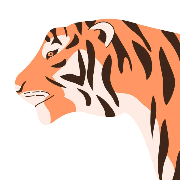 Bengal or Amur tiger. Head portarit. Big wild cat. Strong animal predator. Striped orange skin. Fauna and zoo. Flat illustration isolated on a white background