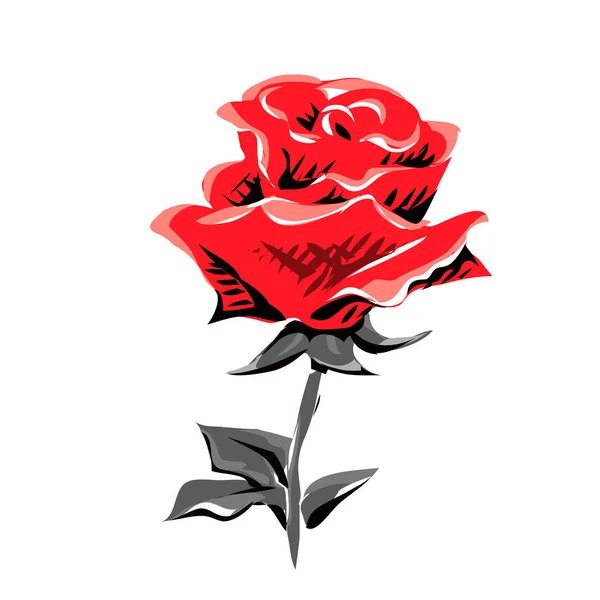 Dibujando Rosa Roja Hermosa Flor Símbolo Del Amor Elemento Decorativo — Archivo Imágenes Vectoriales