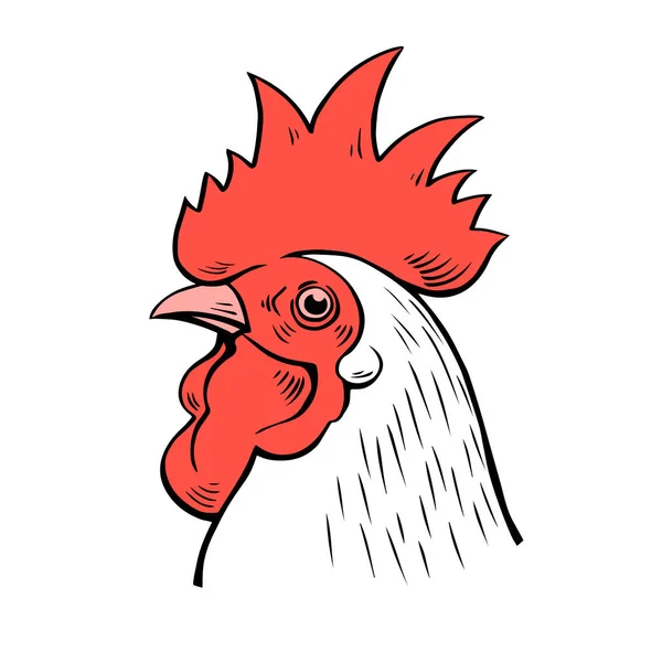 Head portrait of a rooster. Logo, emblem of chicken meat, farming. Domestic bird. Art illustration isolated on white background. Hand drawn line style