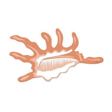 Salyangoz deniz kabuğu. Deniz altı deniz kabuğu bükülmüş. Spiral şekilli. Deniz altı yumuşakçaları. Hayvanlar ve vahşi yaşam. Düz vektör çizimi beyaz arkaplanda izole edildi