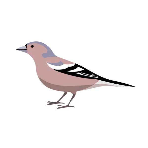 Pájaro Cantor Del Bosque Finch Hermoso Pajarito Salvaje Finch Mascota — Vector de stock