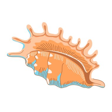 Salyangoz deniz kabuğu. Deniz altı deniz kabuğu bükülmüş. Spiral şekilli. Deniz altı yumuşakçaları. Hayvanlar ve vahşi yaşam. Düz vektör çizimi beyaz arkaplanda izole edildi