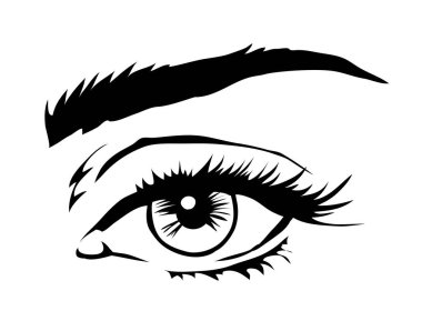 Siyah beyaz çizim. Genç bir kadının güzel gözleri. Kadın güzelliği. Moda doğal kozmetik ve makyaj. Deri sağlığı. Vektör sanat çizimi beyaz arkaplanda izole edildi. El çizimi biçimi