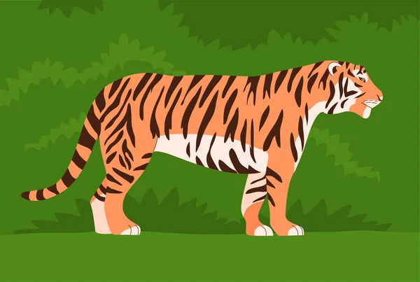 Bengala Tigre Amur Gran Gato Salvaje Depredador Animal Fuerte Piel — Vector de stock