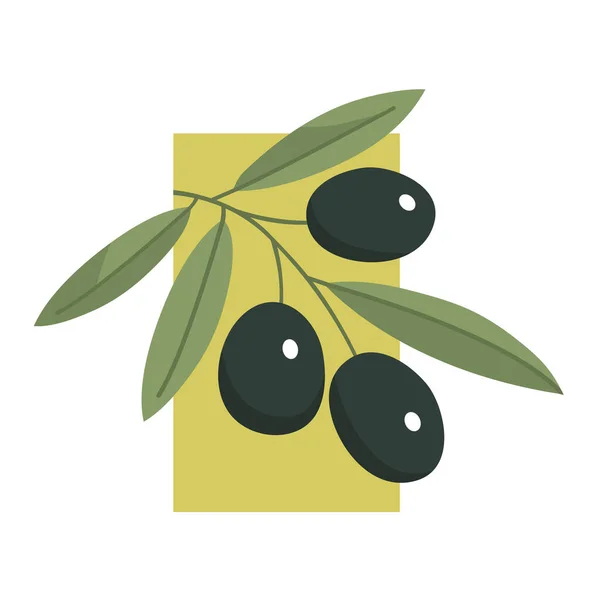 Olivenzweig Mit Blättern Auf Weißem Hintergrund — Stockvektor