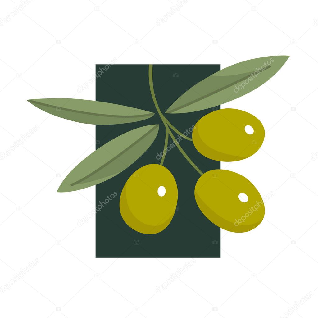 Branch of olives with leaves on a white background