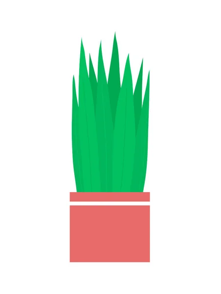 Dekoracyjny Wazon Domowe Kwiaty Garnek Zielonym Kaktusem Roślinnym Przedmiot Wnętrza — Wektor stockowy