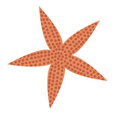 Beyaz arkaplanda deniz yıldızı istiridyesi tasviri