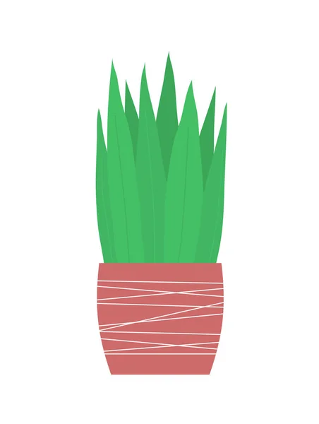 Decoratieve Vaas Voor Thuisbloemen Witte Achtergrond — Stockvector