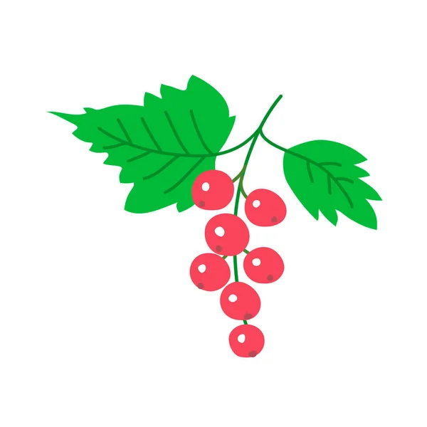 Rote Johannisbeere Mit Blättern Ein Bund Frischer Beeren Sommerernte Gesunde — Stockvektor