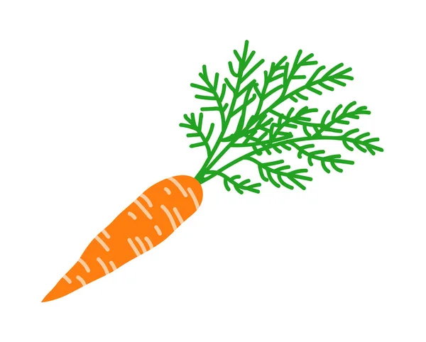 Fresh Carrots Bunch Greens Healthy Plant Food Nutritious Vegetable Natural —  Vetores de Stock