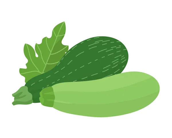 Green Zucchini Leaf White Background — Wektor stockowy