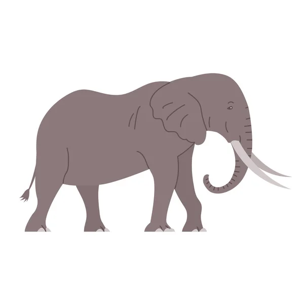African Elephant Tusks Savannah Wild Animal Large Herbivorous Mammal Flat — Stock Vector
