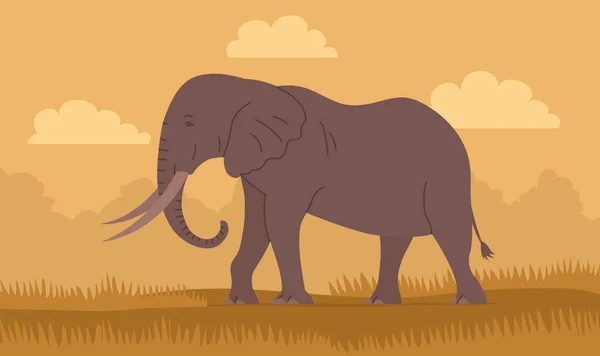Αφρικανός Ελέφαντας Κορμό Και Χαυλιόδοντες Μεγάλο Φυτοφάγο Θηλαστικό Ζωολογικός Κήπος — Διανυσματικό Αρχείο