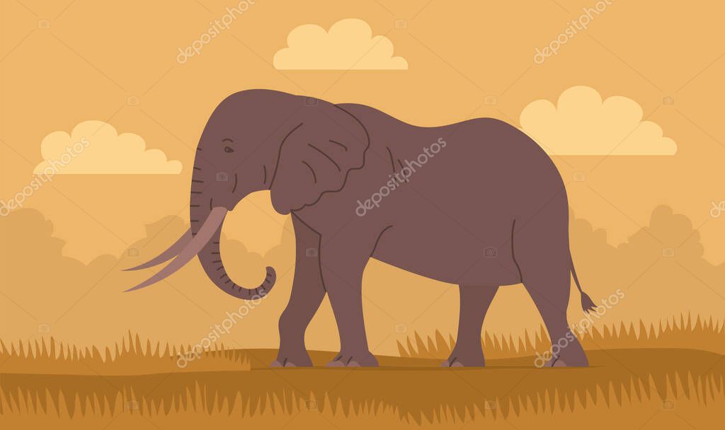 African elephant with trunk and tusks. Large herbivorous mammal. Zoo wild animal. Wild savanna landscape. Wildlife and zoo. Nature and fauna. Cartoon vector illustration