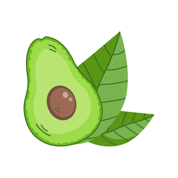 Green Avocado Leaf Isolated White Background — Wektor stockowy