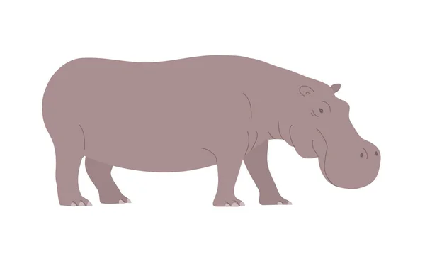 Large Adult Hippo African Wild Dangerous Animal Herbivorous Mammal Flat — Stock vektor