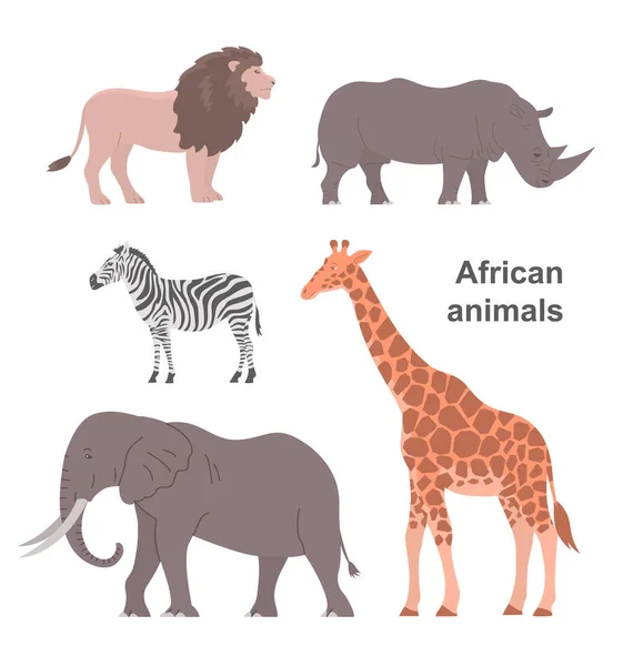 African Animals Set Big Elephant Giraffe Rhinoceros Lion Zebra Herbivorous — Stock Vector