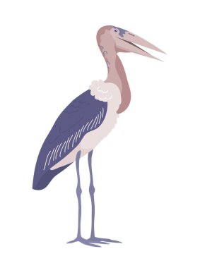Afrika kuşu leylek marabutu. Ayaklarının üzerinde duruyor. Büyük gaga. Savannah vahşi yaşam hayvanı. Hayvanat bahçesi ve zooloji. Düz vektör çizimi beyaz arkaplanda izole edildi