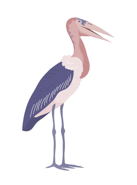 African Bird Stork Marabou Stands Its Feet Big Beak Savannah —  Vetores de Stock