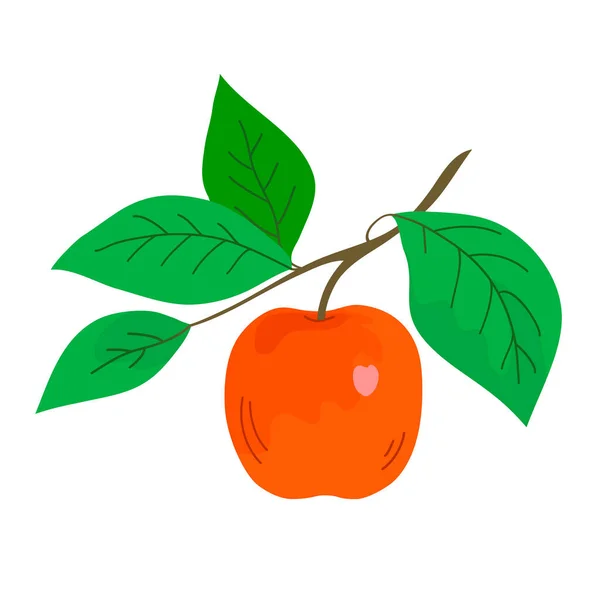 Red Apple Tree Branch Green Leaves Healthy Food Garden Harvest — Διανυσματικό Αρχείο
