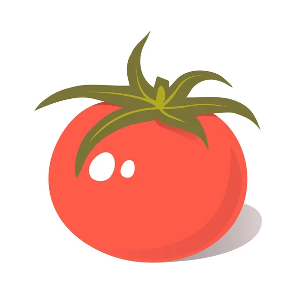 Ripe Red Tomato Leaves Useful Tasty Vegetable Healthy Diet Food — Vetor de Stock